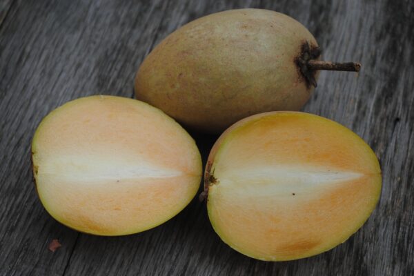 Sapodilla 6834188 1280